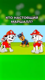 Кто настоящий Маршалл