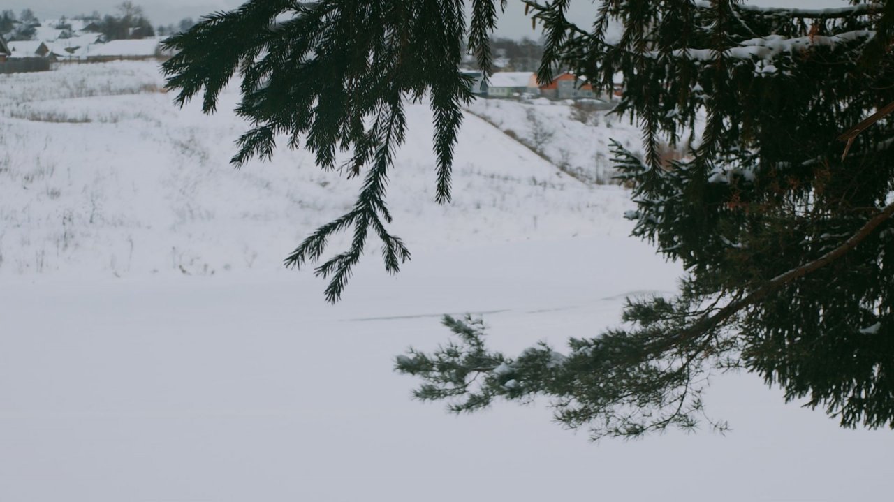Зима пришла ❄️❄️❄️ Заболотная (13 декабря 2025г.)