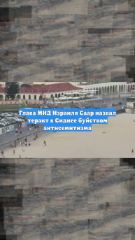 Глава МИД Израиля Саар назвал теракт в Сиднее буйством антисемитизма