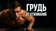 КАК ПРОКАЧАТЬ ГРУДЬ ОТЖИМАНИЯМИ?