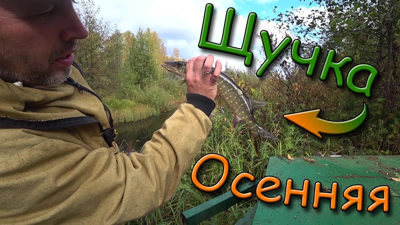 Рыбалка||ЛОВИМ ЩУКУ||