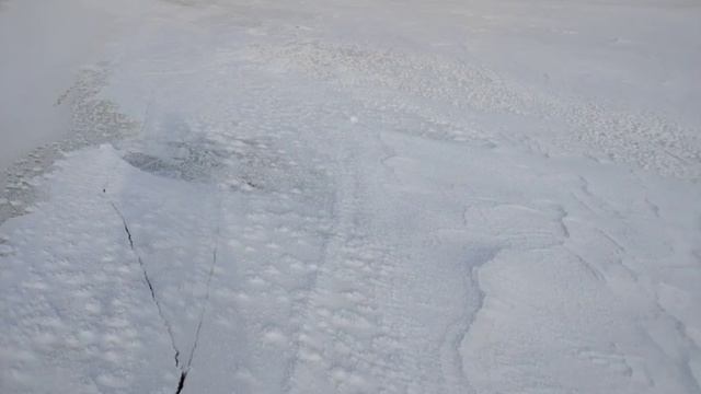 Зея встала, прибывает вода. Улова снова нет. - 30° за окном
