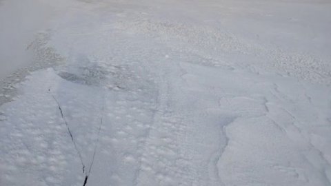 Зея встала, прибывает вода. Улова снова нет. - 30° за окном