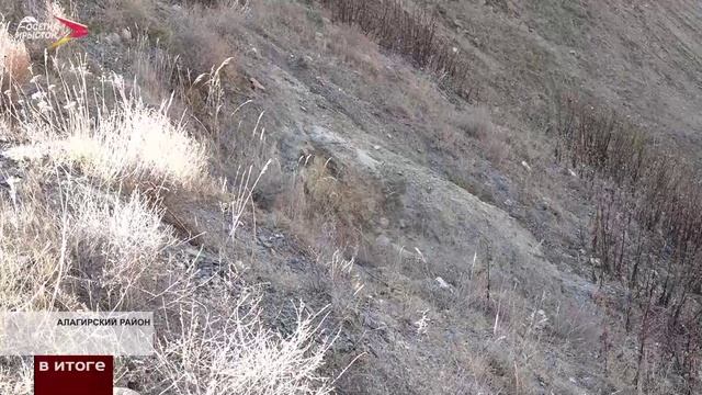 Жители Алагирского района жалуются на опасное хвостохранилище