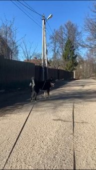 Леша ищет дом 5