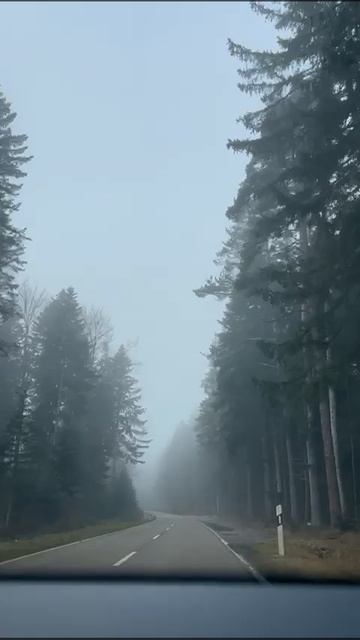 Поездка по Шварцвальду в Баден-Вюртемберге, Германия