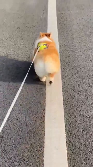 Сладкая булочка