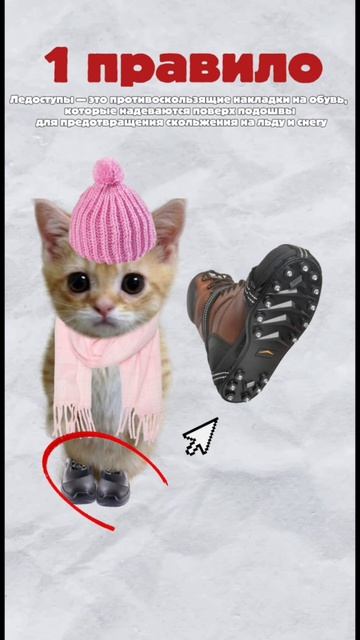 кисы объясняют что такое гололед