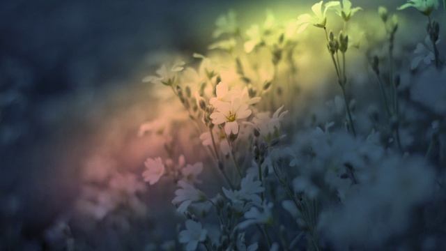 Золотые Драконы и Ангелы Света о подготовке к Вознесению12.12.2025г 2 класс (59 Послание)