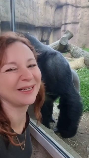 Женская ревность 😂