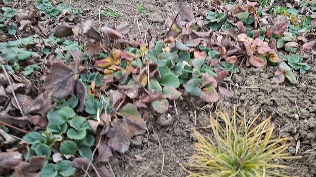 14 декабря 2025г