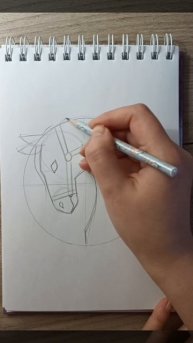 Как нарисовать лошадь