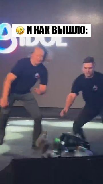 #смехживотных, #смехнаработе