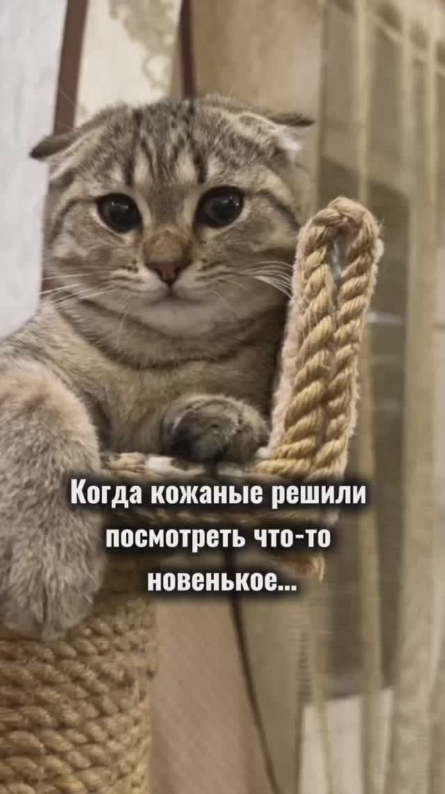 Необычный сериал😻