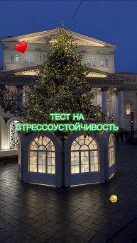 Тест на стрессоустойчивость😂