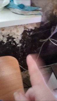 14-12-2025 мой обед и побегу