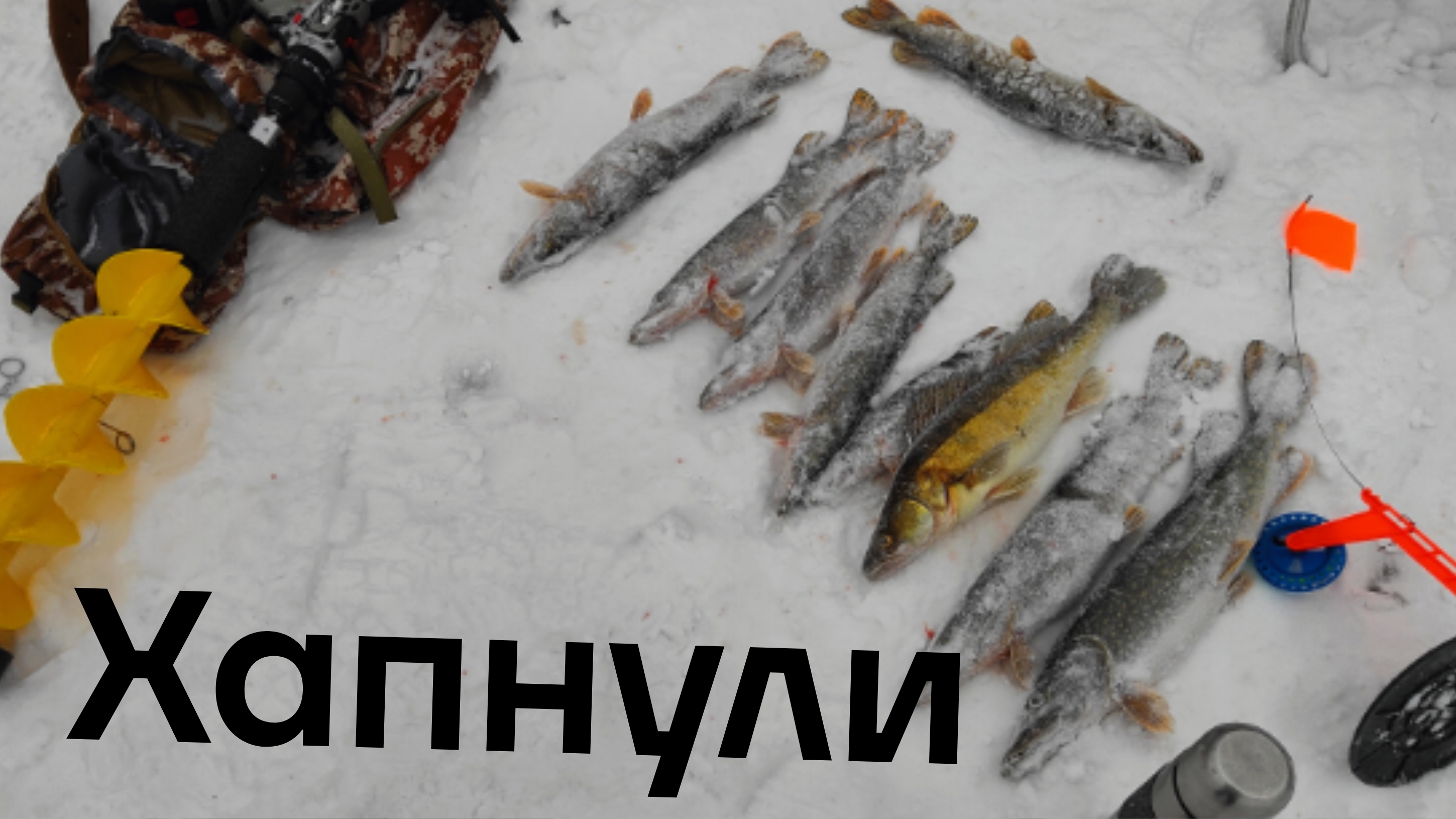 Отлично порыбачили,рыбалка на жерлицы в центре Екатеринбурга 14.12.25.