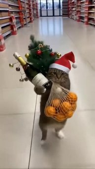 #новыйгод #ии #искуственныйинтелект #приколы #юмор #прикол #смешно #коты #кот #кошки #котята #топ #т