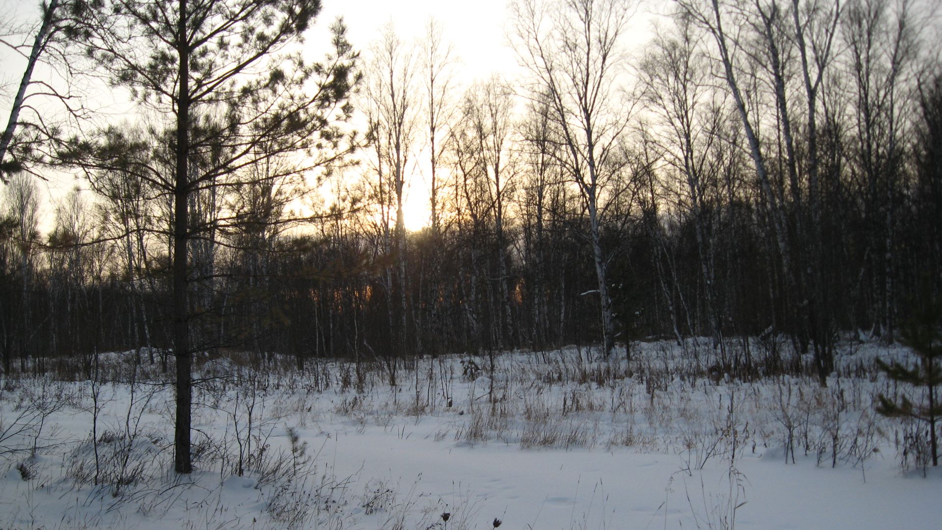 Зимняя природа в фотографиях