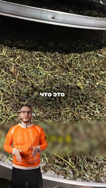 Представьте