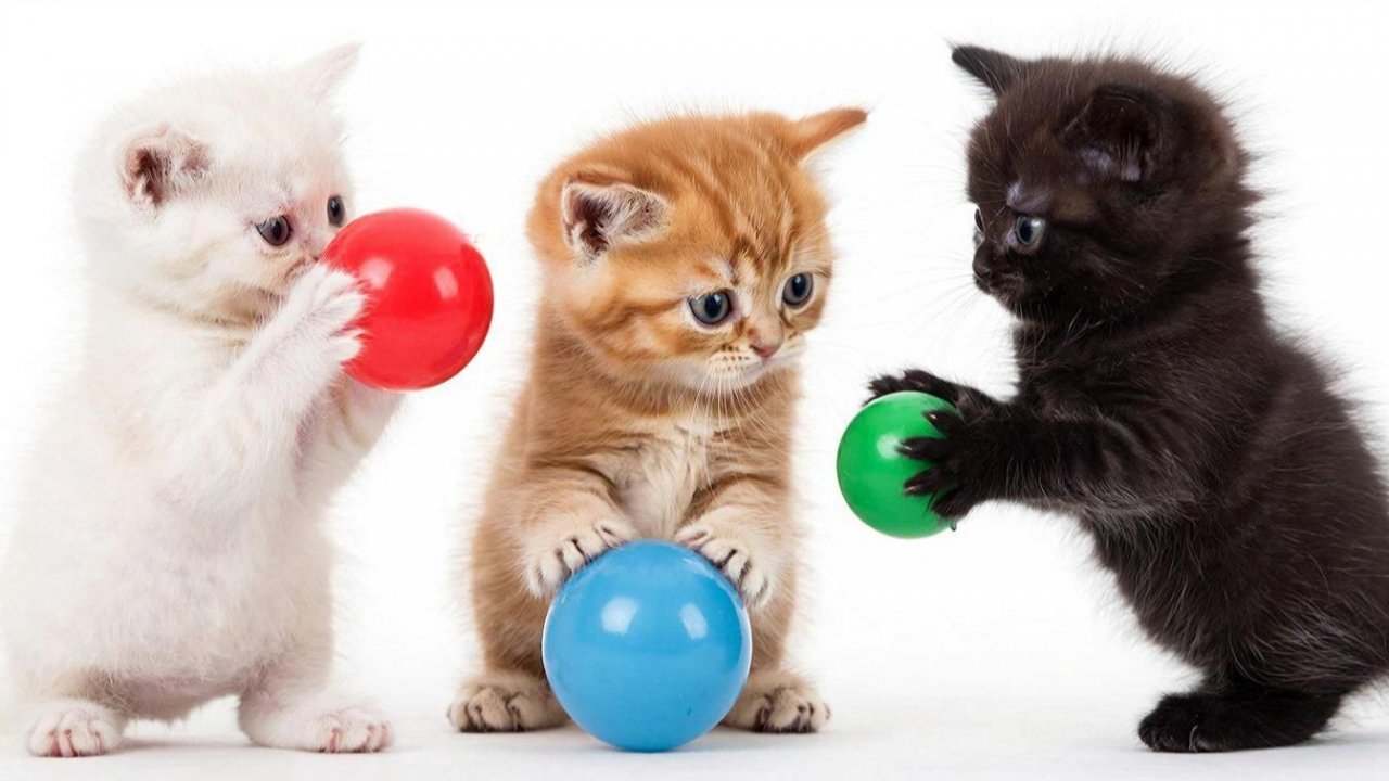 РАЗВЛЕКАТЕЛЬНОЕ ВИДЕО ДЛЯ ДЕТЕЙ | МУЛЬТИКИ ДЛЯ ДЕТЕЙ | ЗАЛИПАТЕЛЬНЫЕ МУЛЬТИКИ