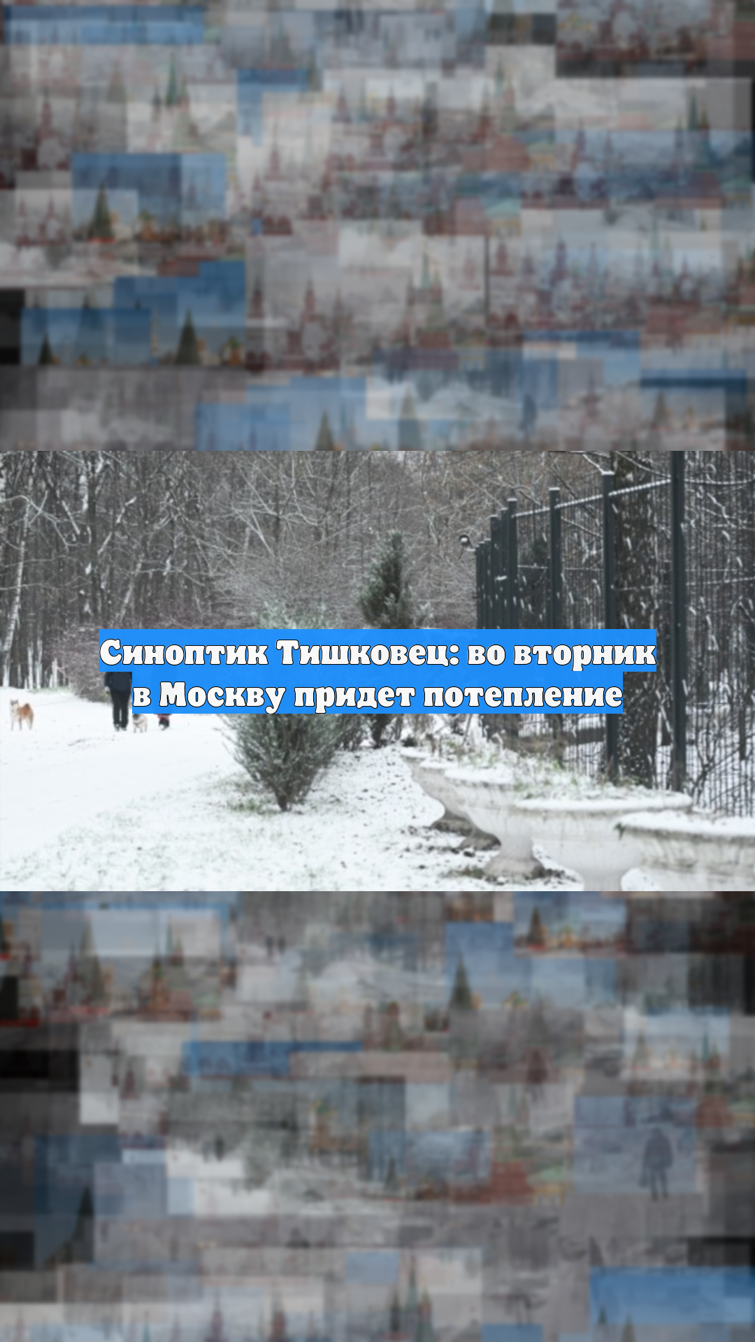 Синоптик Тишковец: во вторник в Москву придет потепление