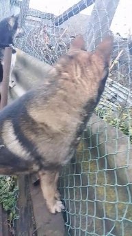 Ищите людей с такими же