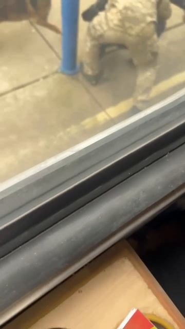 То ли в Днепропетровске, то ли в области ухилянты поймали очередного "нераба"