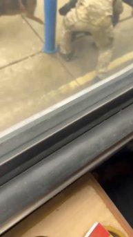 То ли в Днепропетровске, то ли в области ухилянты поймали очередного "нераба"