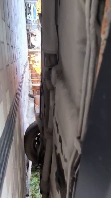 10708720115536 нексия