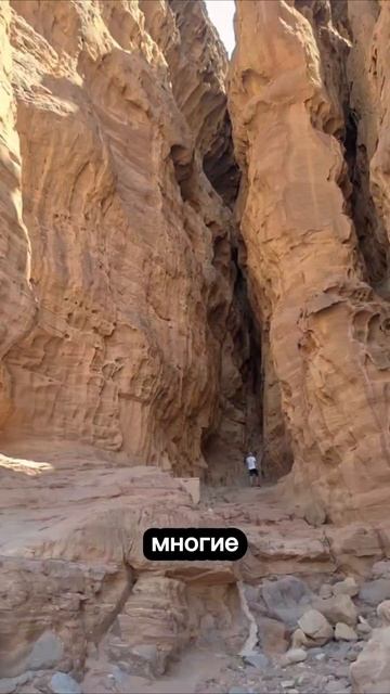 5 причин хронической усталости