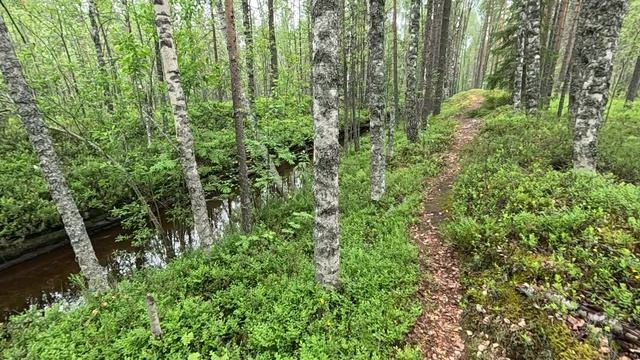 Сунская цепочка