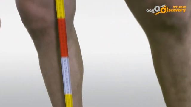 Длина внутренней стороны ноги (от промежности до лодыжки)