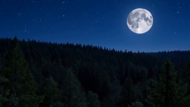 Странник судьбы