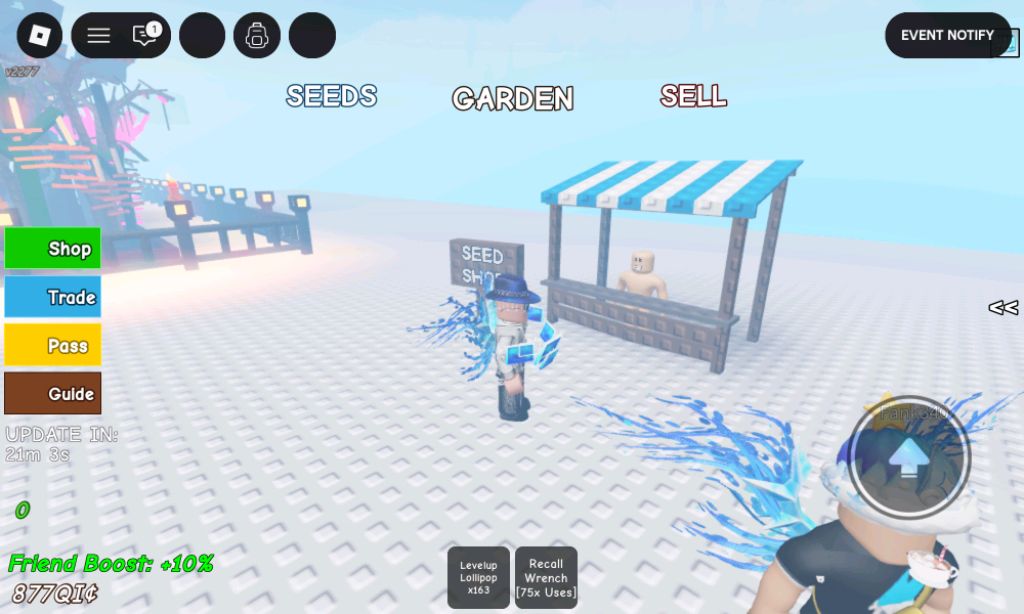 Обзор на попугаев