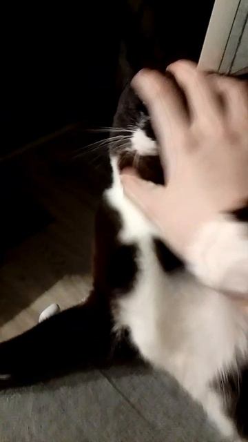 Сама доброта) (опис.)