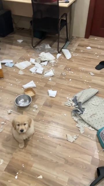 Что тут происходит?