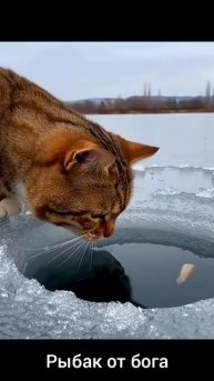 как надо рыбачить