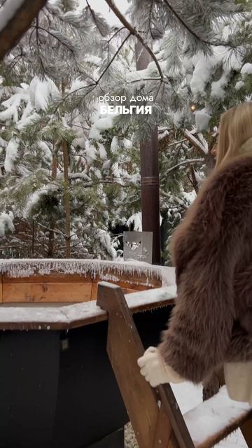 Обзор дома «Бельгия"