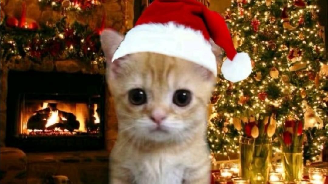 Буду бустить новичков часть:5 тг:@br_br_br_patapin4ik, айди 264077728 тгк:https://t.me/lenc4ikRUTUBE