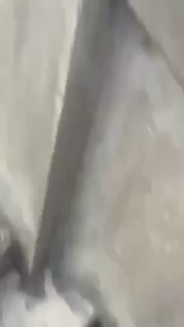 Теракт в Австралии: террористы расстреляли людей на пляже Бонди в Сиднее — десятки погибших