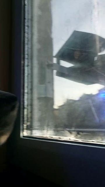 video_2025-12-14_19-08-34