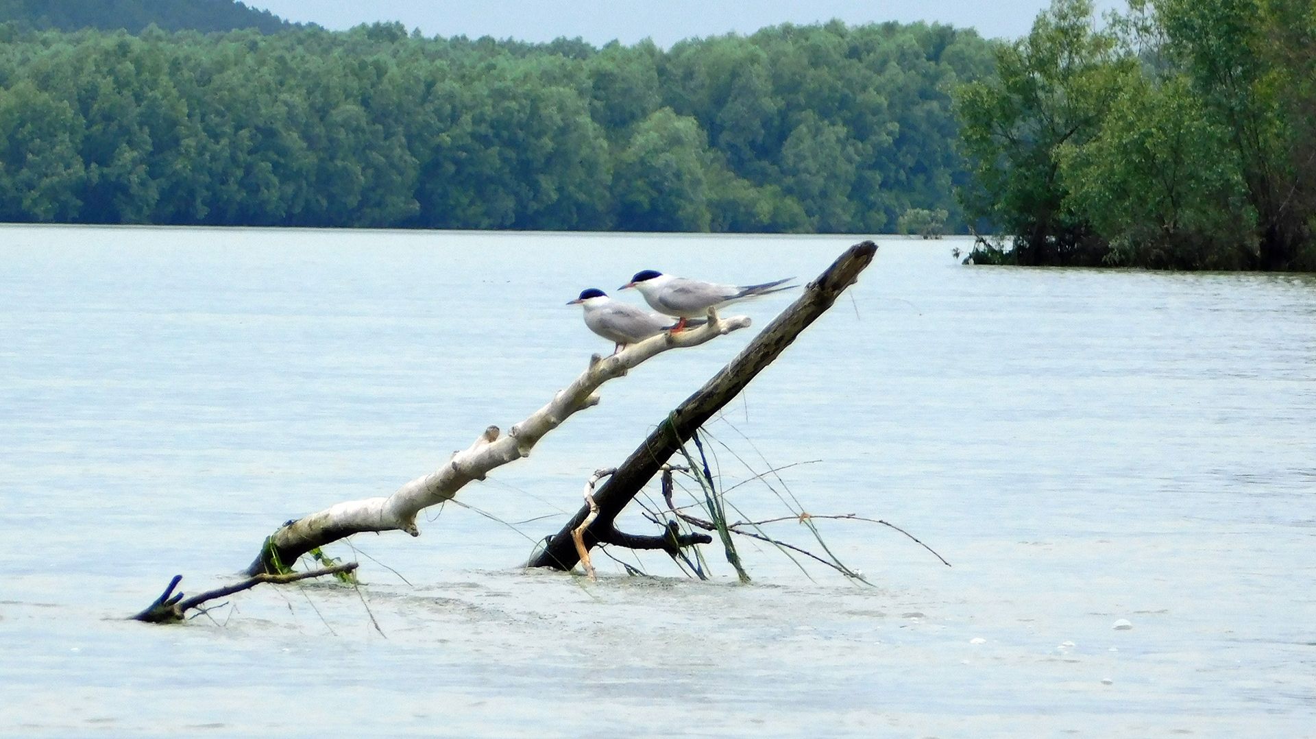 23.07.08 Белоярка