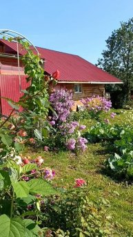 лето🐝🐝🐝🐞