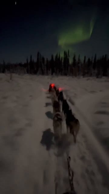 АЛЯСКА - НАШИ ДНИ