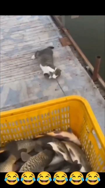 отдай это мое