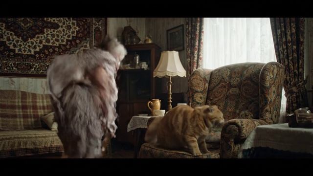 В мире ИИ тоже есть злые бабки 😭 | Бедный котик 😭