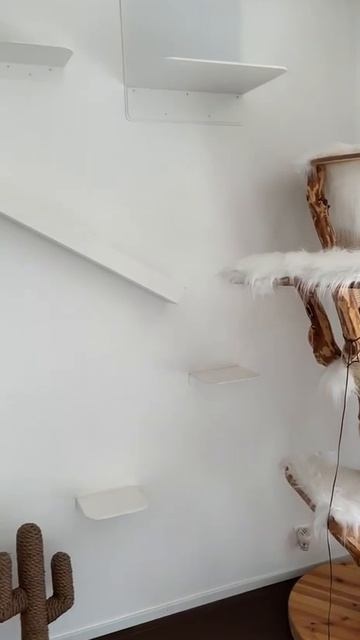 Все для любимого котика