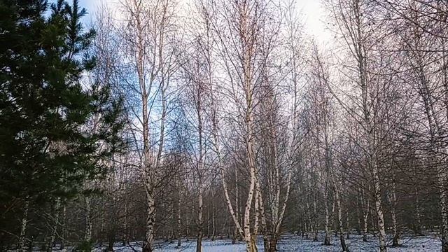 ВОТ И ПЕРВЫЙ СНЕГ. РЕКА ВСТАЛА ЗА ДВА ДНЯ...