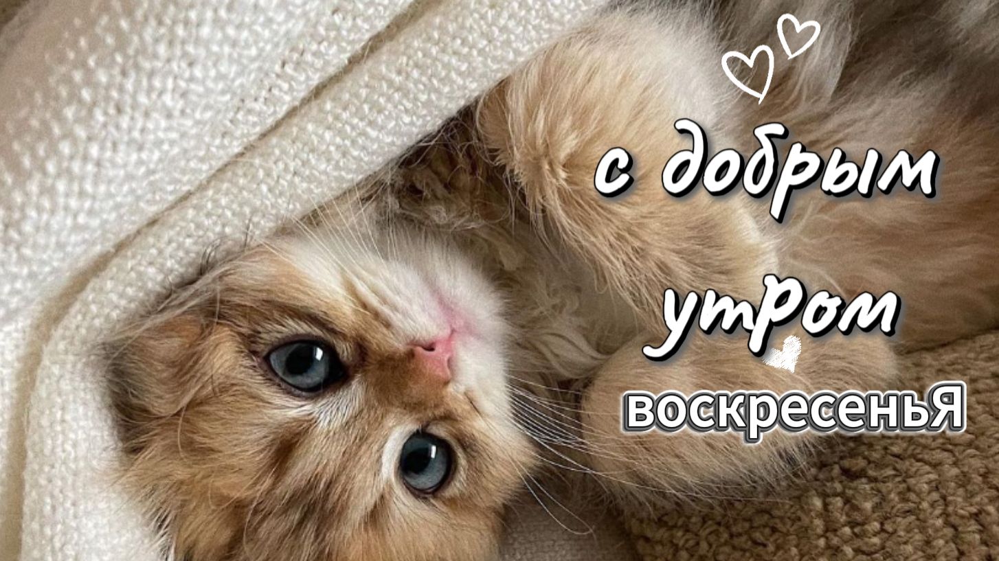 открытки с добрым утром воскресенья — красивая музыкальная открытка для хорошего начала дня